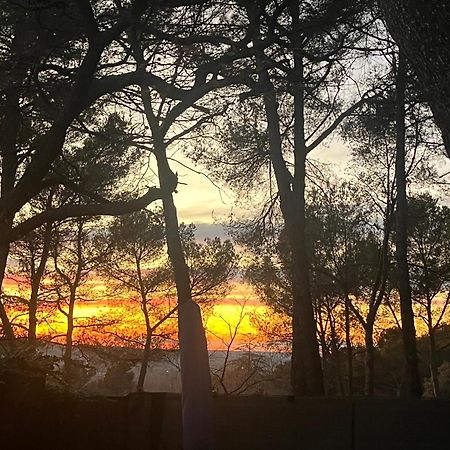 Maison Provencale Au Calme De La Campagne Avec Jacuzzi Aix-en-Provence Esterno foto