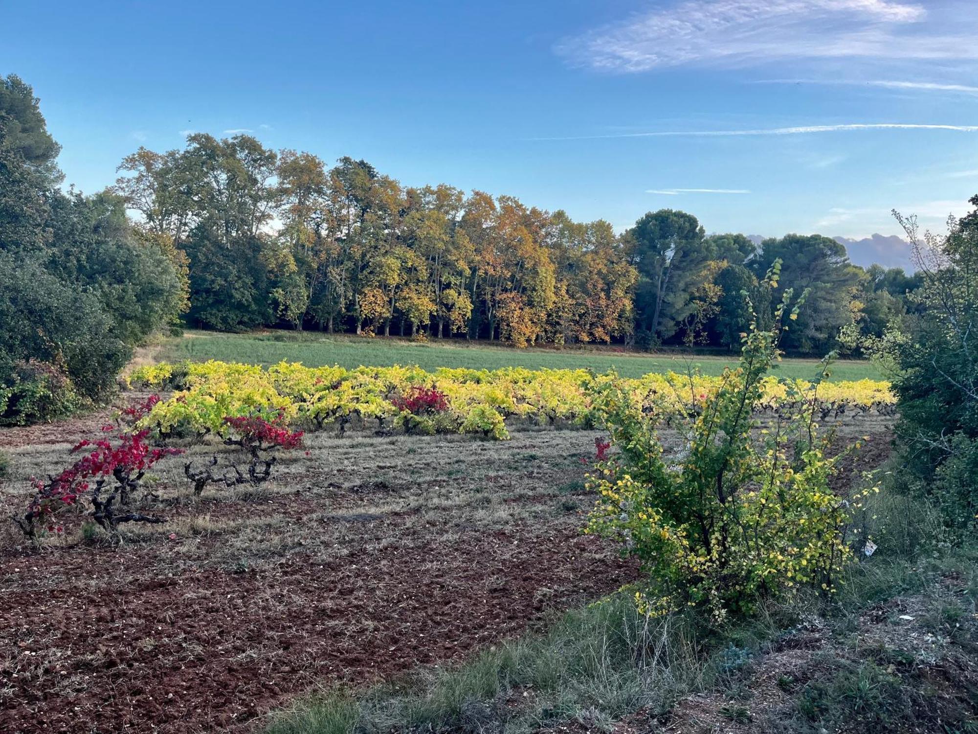 Maison Provencale Au Calme De La Campagne Avec Jacuzzi Aix-en-Provence Esterno foto