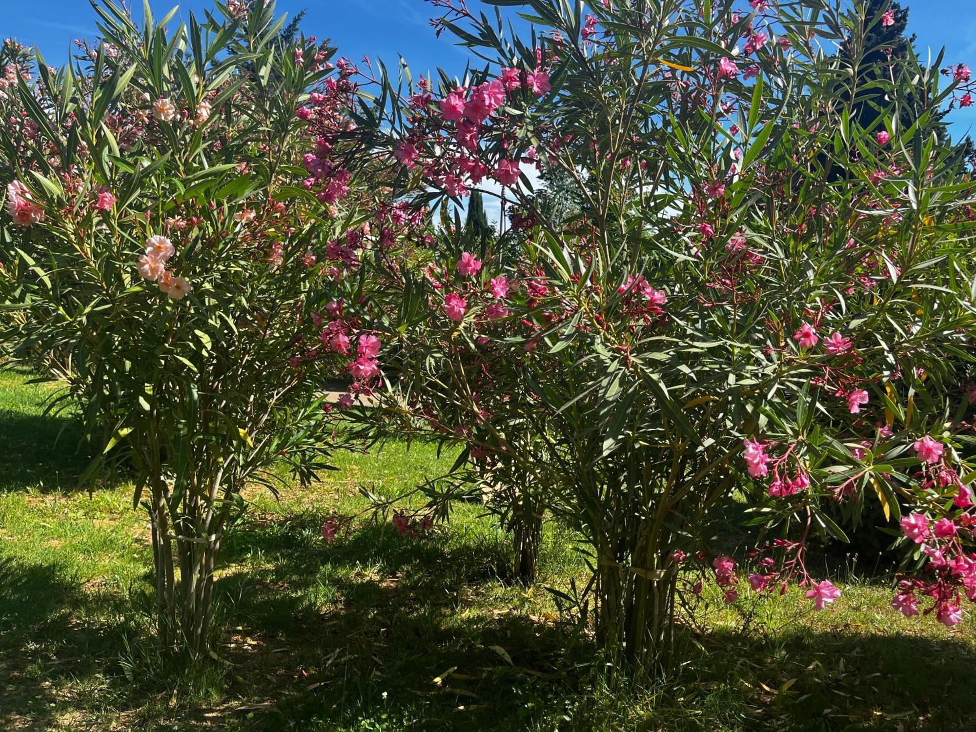 Maison Provencale Au Calme De La Campagne Avec Jacuzzi Aix-en-Provence Esterno foto