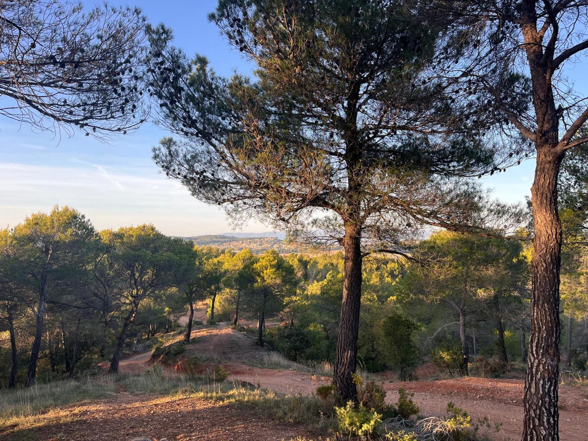 Maison Provencale Au Calme De La Campagne Avec Jacuzzi Aix-en-Provence Esterno foto